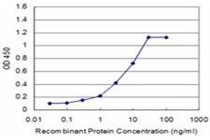 Detection limit for recombinant GST tagged CSRP1 is approximately 0.