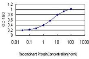 Detection limit for recombinant GST tagged TEK is approximately 0. (TEK anticorps  (AA 701-800))