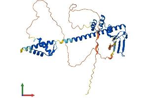 AlphaFold protein structure predicition of Human Recombinant TFDP1 Protein, UniprotID Q14186