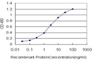 Detection limit for recombinant GST tagged DDX3Y is approximately 0. (DDX3Y anticorps  (AA 1-80))