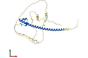 AlphaFold protein structure predicition of Human Recombinant MAFB Protein, UniprotID Q9Y5Q3