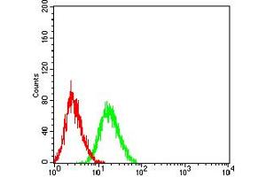 Flow cytometric analysis of HL-60 cells using TNFRSF6B mouse mAb (green) and negative control (red).