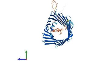 AlphaFold protein structure predicition of Human Recombinant TOMM40 Protein, UniprotID O96008