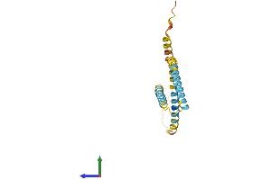 AlphaFold protein structure predicition of Human Recombinant BIK Protein, UniprotID Q13323