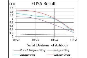 Black line: Control Antigen (100 ng), Purple line: Antigen(10 ng), Blue line: Antigen (50 ng), Red line: Antigen (100 ng),