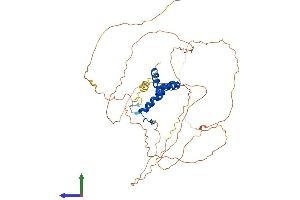 AlphaFold protein structure predicition of Human Recombinant SOX4 Protein, UniprotID Q06945