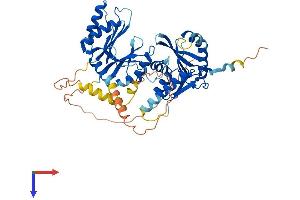 AlphaFold protein structure predicition of Mouse Recombinant Thumpd3 Protein, UniprotID P97770