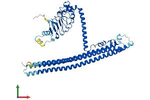 AlphaFold protein structure predicition of Human Recombinant DRC3 Protein, UniprotID Q9H069