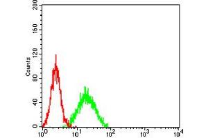 Flow cytometric analysis of NIH/3T3 cells using KDM4B mouse mAb (green) and negative control (red).