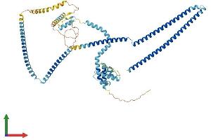AlphaFold protein structure predicition of Human Recombinant CCDC93 Protein, UniprotID Q567U6