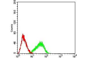 Flow cytometric analysis of HL-60 cells using GITR mouse mAb (green) and negative control (red).