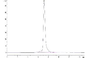 The purity of Mouse OSMR is greater than 95 % as determined by SEC-HPLC.