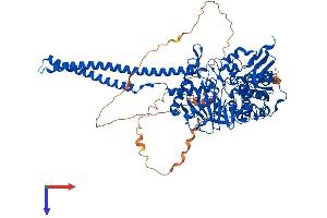 AlphaFold protein structure predicition of Human Recombinant KDM1A Protein, UniprotID O60341
