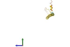 AlphaFold protein structure predicition of Human Recombinant LINC00523 Protein, UniprotID Q86TU6