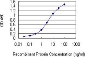 anti-Ring Finger Protein 186 (RNF186) (AA 75-150) antibody