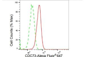 Flow cytometric analysis of CDC73 expression in C2C12 cells using CDC73 antibody (ABIN7799734), 1:2,000). (Recombinant HRPT2 anticorps)