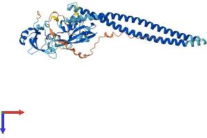 AlphaFold protein structure predicition of Mouse Recombinant Pik3r3 Protein, UniprotID Q64143