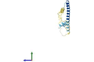 AlphaFold protein structure predicition of Human Recombinant CPLX1 Protein, UniprotID O14810