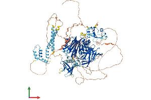 AlphaFold protein structure predicition of Mouse Recombinant Inpp5d Protein, UniprotID Q9ES52