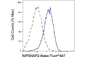Validation of NIPSNAP2 knockdown using flow cytometry. (GBAS anticorps)