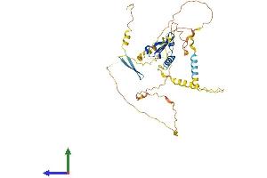 AlphaFold protein structure predicition of Human Recombinant CBX6 Protein, UniprotID O95503