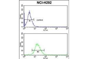 PDIA3 Antibody (C-term) (ABIN389464 and ABIN2839529) flow cytometric analysis of NCI- cells (bottom histogram) compared to a negative control cell (top histogram).