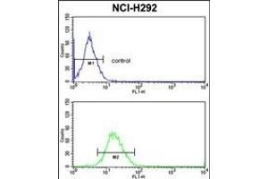 PDIA3 Antibody (C-term) (ABIN389464 and ABIN2839529) flow cytometric analysis of NCI- cells (bottom histogram) compared to a negative control cell (top histogram). (PDIA3 anticorps  (C-Term))