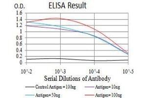 anti-Lysine (K)-Specific Demethylase 6A (KDM6A) (AA 1252-1401) antibody