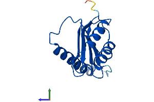 AlphaFold protein structure predicition of Mouse Recombinant Trappc1 Protein, UniprotID Q5NCF2
