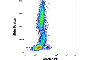 Flow cytometry surface staining pattern of human peripheral whole blood stained using anti-human CD267 (1A1) PE antibody (10 μL reagent / 100 μL of peripheral whole blood). (TACI anticorps  (PE))