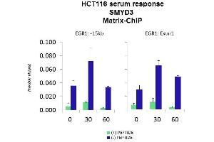 Quiescent human colon carcinoma HCT116 cultures were treated with 10% FBS for three time points (0, 15, 30min) or (0, 30, 60min) were used in Matrix-ChIP and real-time PCR assays at EGR1 gene (Exon1) and 15kb upstream site.