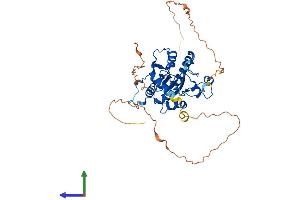 AlphaFold protein structure predicition of Human Recombinant TDG Protein, UniprotID Q13569