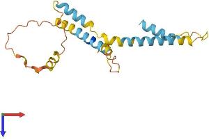 AlphaFold protein structure predicition of Human Recombinant HMGN2P46 Protein, UniprotID Q86SG4