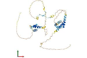 AlphaFold protein structure predicition of Human Recombinant CUEDC1 Protein, UniprotID Q9NWM3