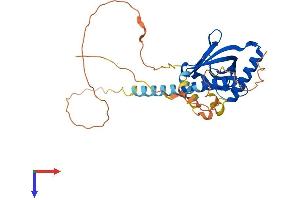 AlphaFold protein structure predicition of Mouse Recombinant Ldlrap1 Protein, UniprotID Q8C142