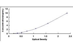 Typical standard curve (Septin 6 Kit ELISA)