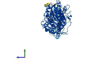 AlphaFold protein structure predicition of Human Recombinant TKFC Protein, UniprotID Q3LXA3