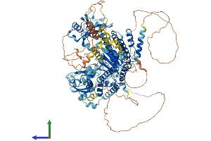 AlphaFold protein structure predicition of Human Recombinant RADIL Protein, UniprotID Q96JH8