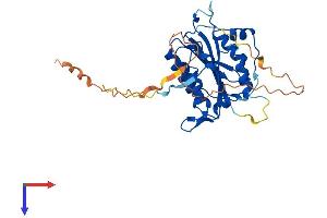 AlphaFold protein structure predicition of Human Recombinant BABAM1 Protein, UniprotID Q9NWV8