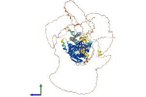 AlphaFold protein structure predicition of Mouse Recombinant Dennd2c Protein, UniprotID Q6P9P8