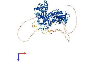 AlphaFold protein structure predicition of Human Recombinant CHM Protein, UniprotID P24386