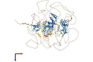 AlphaFold protein structure predicition of Mouse Recombinant Rgs12 Protein, UniprotID Q8CGE9