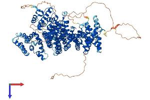 AlphaFold protein structure predicition of Human Recombinant INTS3 Protein, UniprotID Q68E01