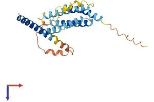 AlphaFold protein structure predicition of Human Recombinant TMEM98 Protein, UniprotID Q9Y2Y6