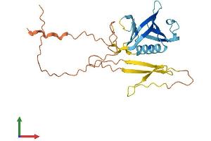 AlphaFold protein structure predicition of Human Recombinant PLEKHB1 Protein, UniprotID Q9UF11