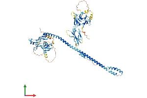 AlphaFold protein structure predicition of Human Recombinant TRIM36 Protein, UniprotID Q9NQ86