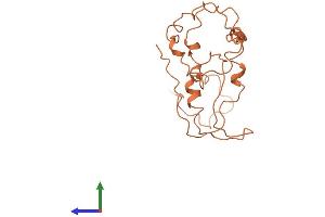 AlphaFold protein structure predicition of Human Recombinant KRTAP4-8 Protein, UniprotID Q9BYQ9