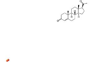Image no. 1 for Progesterone ELISA Kit (ABIN577680) (Progesterone Kit ELISA)