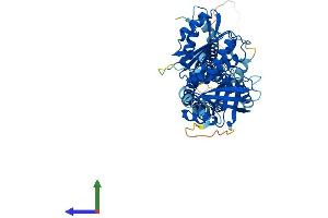 AlphaFold protein structure predicition of Human Recombinant NOX4 Protein, UniprotID Q9NPH5