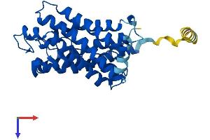 AlphaFold protein structure predicition of Mouse Recombinant Aqp3 Protein, UniprotID Q8R2N1